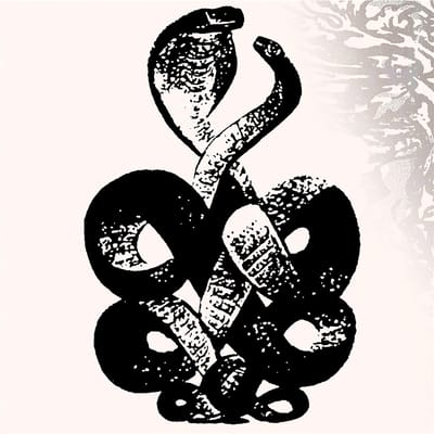 Bardo Pond - Volume 4 & 5 (2 LP)