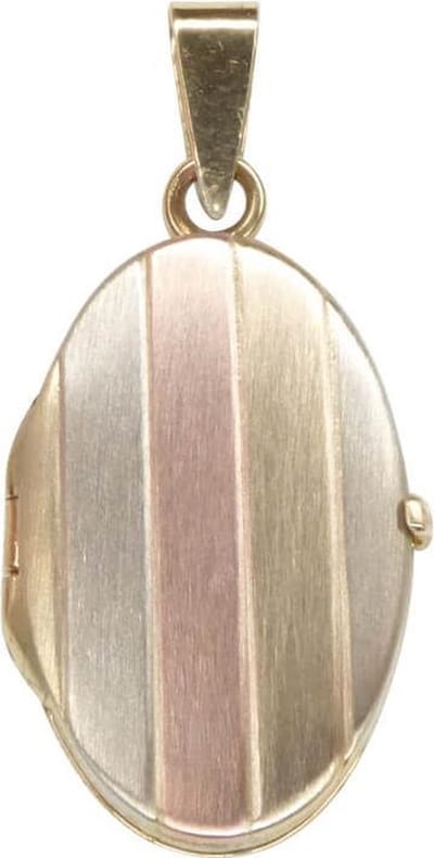 Tricolor gouden medaillon hanger