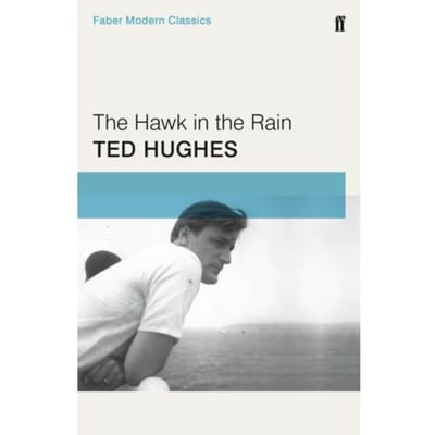 The Hawk In The Rain - Ted Hughes