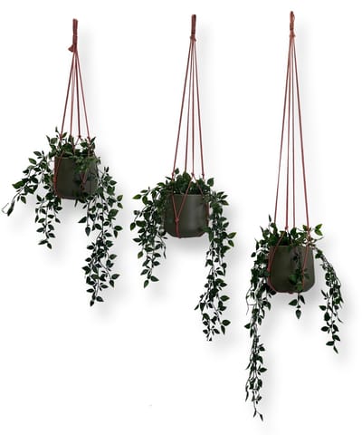 Voordeelset van 3 Plantenhangers Zonder Kwast - Oud Roze - 80, 100 en 120 cm - Katoenkoord - Handgemaakt in ons Macramé Atelier - 3 Stuks - Let op: Exclusief Pot - Inclusief Verzendkosten