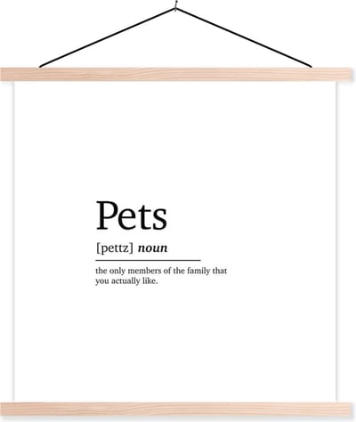 Posterhanger incl. Poster 40x40 cm - Schoolplaat - Huisdieren definitie - Quotes - Spreuken - Pets - Woordenboek - Textielposter - Blanke latten
