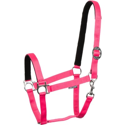 Nylon gevoerde halster voor paard Harry's Horse