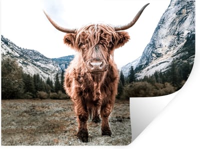 Muurstickers - Sticker Folie - Schotse Hooglander - Berg - Dieren - 40x30 cm - Plakfolie - Muurstickers Kinderkamer - Zelfklevend Behang - Zelfklevend behangpapier - Stickerfolie