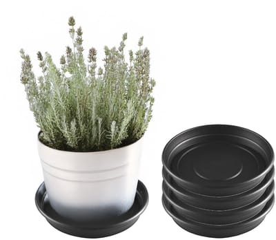Hega Hogar Planten onderschaal - 5x - antraciet - 43 cm - kunststof - bloempotonderzetter - plantenschaal - tuindecoratie