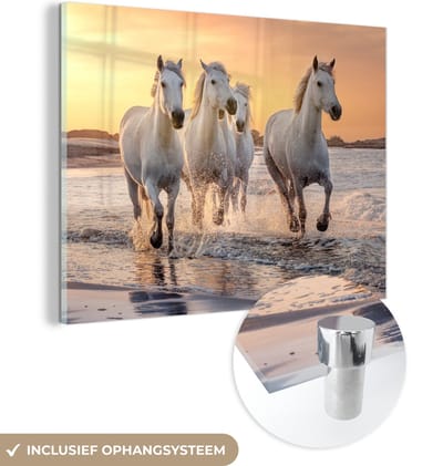 MuchoWow® Glasschilderij 160x120 cm - Schilderij acrylglas - Paarden - Zon - Zee - Strand - Dieren - Foto op glas - Schilderijen