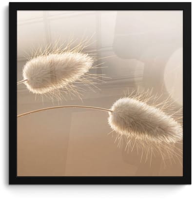 Poster in lijst - Fotolijst 40x40 cm - Posters - Hazestaartgras - Graanharen - Zonlicht - Posterlijst zwart - Decoratie - Wanddecoratie woonkamer - Muurdecoratie slaapkamer