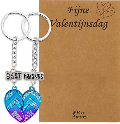 Koppel Sleutelhanger voor 2 'Fijne Valentijnsdag' - Magnetisch Best Friends Hartje - Sleutelhanger set op Cadeau Kaartje - Zilverkleurig - Vriendschap of Relatie Symbool - Pax Amare
