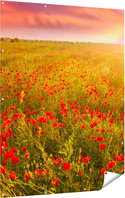 Gards Tuinposter Rode Klaproos Bloemenveld - Zonsondergang - 120x160 cm - Tuindoek - Tuindecoratie - Wanddecoratie buiten - Tuinschilderij