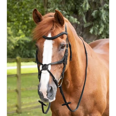 Rubberen rendier Premier Equine Diego Pony 50