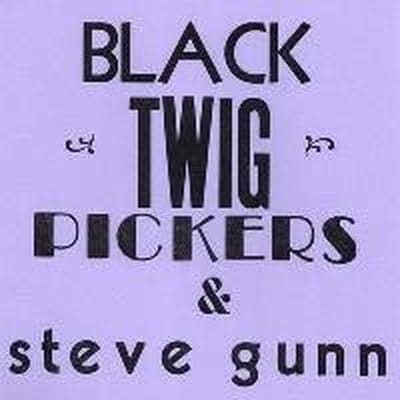 Black Twig Pickers & Steve Gunn - Lonesome Valley (7" Single) (Limited Edition)