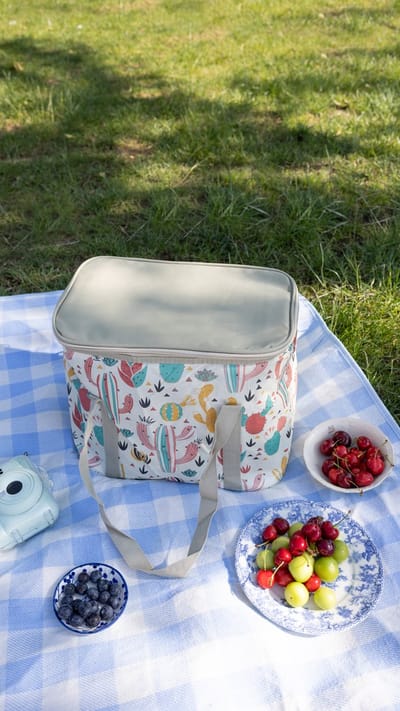 Geïsoleerde Koeltas| Lunchtas| Thermotas| 20 Liter| Picknicktas| Koeltas voor op reis met draagband