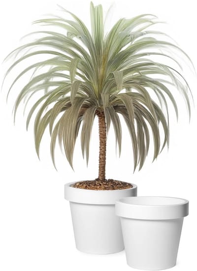 Mega Collections Plantenpot/bloempot - 2x - kunststof - wit - buiten - D30 x H27 cm