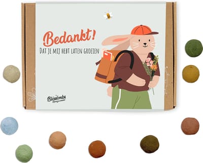 Blossombs Bloembommetjes Giftbox Small - 7 Zaadbommetjes - Bedankt! - Bos Bloemen Cadeau