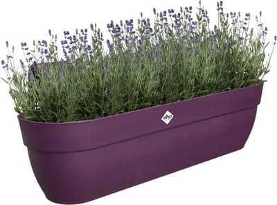 Elho Vibia Campana Easy Hanger XXL 70 - Plantenbak voor Balkon - Balkonbak - 100% Gerecycled Plastic - L69 x B26.8 x H23.7 cm - Esdoorn paars