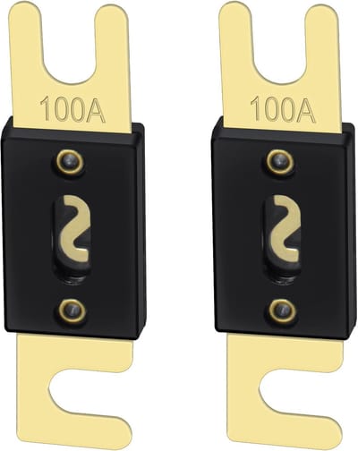 Golden crown Fuse - 100A Fuse - 2-Pack - Gold & Black - Voor Car Audio - 100 Amp - Geschikt voor Auto's