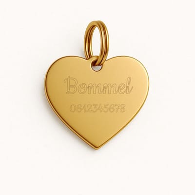 Lovelockers® | Hondenpenning inclusief graveren | Gegraveerde Hart circa 3 cm | RVS | incl 2 regels gravering | Goud | Luxe honden penning