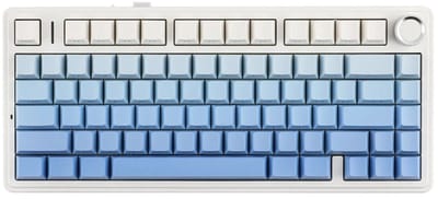 EPOMAKER F75 Blauw LEOBOG Reaper Switch RGB Draadloos Hotswap Mechanisch Gaming Toetsenbord