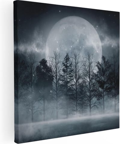 Artaza Canvas Schilderij Bos Bij Nacht - 30x30 cm - Klein - Wanddecoratie Maan - Muurdecoratie Landschap - Kamer Accessoires Mist