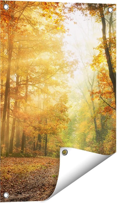 Gards Tuinposter Herfstbos met Zonneschijn - 40x60 cm - Tuindoek - Tuindecoratie - Wanddecoratie buiten - Tuinschilderij