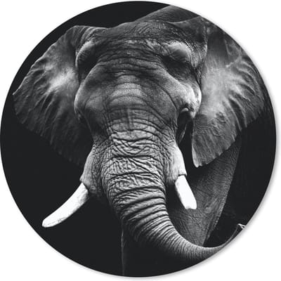Muismat rond 20x20 cm - Mousepad Olifant - Tanden - Zwart - Wit - Ronde muismatten