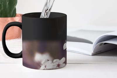 Magische Mok - Foto op Warmte Mokken - Koffiemok - Bloemen - Wit - Natuur - Plant - Bloesem - Magic Mok - Beker - 350 ML - Theemok