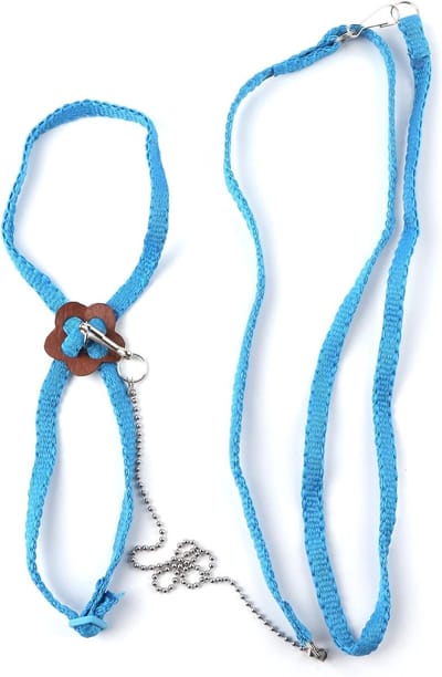 1.2m Verstelbare Vogel Harnas - Parrot Trainingsriem - Parrot Ontsnappingsband - Afrikaanse Grijze Kaketoes en Parkieten (Blauw)