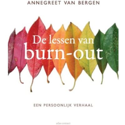 De Lessen Van Burn-Out - Annegreet van Bergen