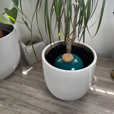 Terracotta Watergeefsysteem voor Potplanten - Zelfvoorzienende Watergift voor Binnen en Buiten