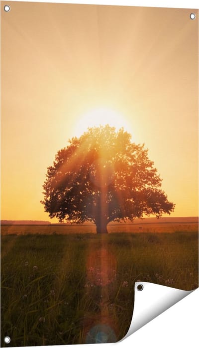Gards Tuinposter Zonsondergang Achter een Grote Boom - 60x90 cm - Tuindoek - Tuindecoratie - Wanddecoratie buiten - Tuinschilderij