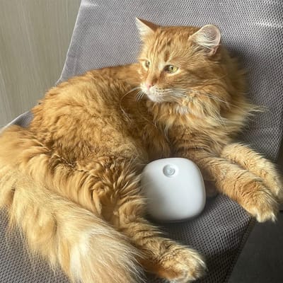 Kattenbak Geurverwijderaar - Oplaadbare Kattenbak Geurverdrijver met Actieve Zuurstof - Uiterst Effectieve Ontgeurder en Geurneutralisator voor een Frisse en Hygiënische Kattenbakervaring!