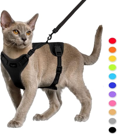 SnelShoppen - Cat Harness en Leash Set, Ontsnappingsvrije Kattenharnas, Verstelbaar Kattenvest met Reflecterende Strepen, Universele Kattenlijn en Har