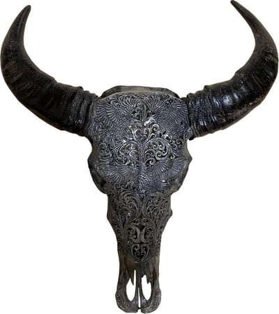 Skull - Buffelschedel - Dierenschedel - Grijs - 90 cm