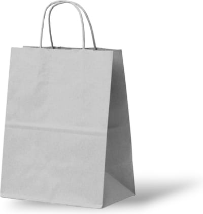 Papieren Draagtas (S) - 50 Stuks - Zilver/Licht Grijs/Kraft - 18x8x24 cm - Papieren Tasjes - Kraft Tas - Tassen - Cadeau Tas - Hoogwaardig Natron Kraft Papier - Eco-vriendelijk - Ideaal voor Geschenken