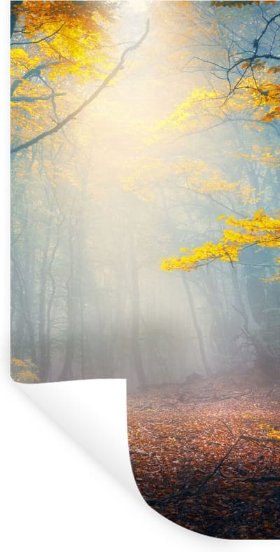 Muurstickers - Sticker Folie - Bos - Mist - Herfst - 40x80 cm - Plakfolie - Muurstickers Kinderkamer - Zelfklevend Behang - Zelfklevend behangpapier - Stickerfolie