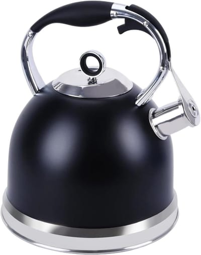 Fluitketel RVS - Waterketel Theepot - Water Koken - Hittebestendig Handvat - 3 Liter - Zilver