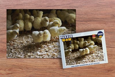 Puzzel Veel baby kuikentjes in het zaagsel - Legpuzzel - Puzzel 1000 stukjes volwassenen