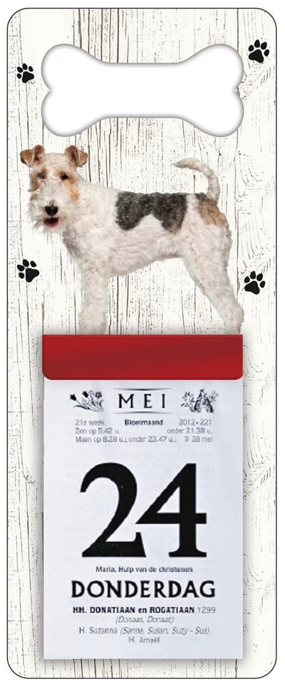 Scheurkalender 2024 Hond: Draadhaar Fox Terrier