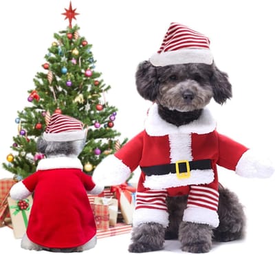 Kerstkostuum voor Huisdieren - Santa Outfit voor Honden en Katten, Feestelijke Kleding voor Dieren