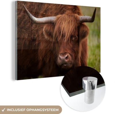 MuchoWow® Glasschilderij 150x100 cm - Schilderij acrylglas - Schotse Hooglander - Oranje - Dieren - Foto op glas - Schilderijen