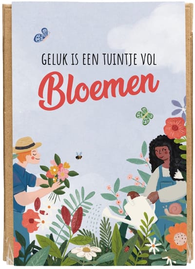 Blossombs Bloembommetjes Giftbox Mini - 4 Zaadbommetjes - Geluk is een Tuintje Vol Bloemen