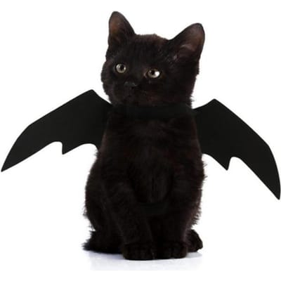 Huisdier Hond Kat Vleermuisvleugel Cosplay Requisiet Halloween Fancy Dress Kostuum Outfit Vleugels Kostuums Foto Requisieten Hoofddeksel zwart