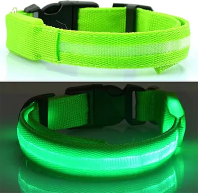 New Age Devi - Lichtgevende Halsband voor Honden - LED Verlichting - Puppy Halsband - Groen - Maat XS