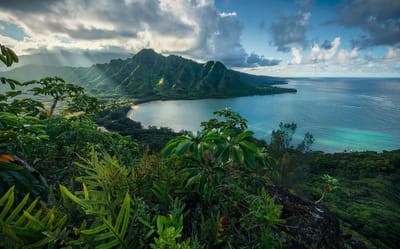 Fotobehang Jurassic Island - Meerkleurig - 2,80m X 450cm