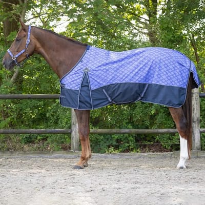 Waterdichte dekens collectie voor paarden QHP 0 g