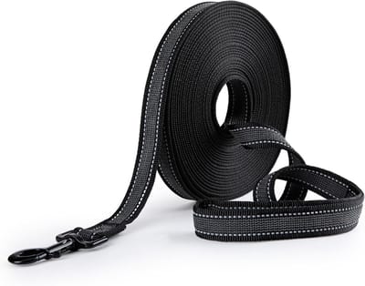 Lange Hondenriem 10m, Antislip en Reflecterend, Voor Alle Honden, Met Polsband en Opbergtas