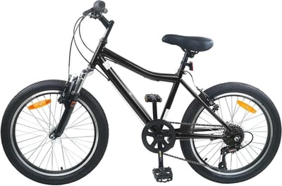 Kinderfiets - Jeugdfiets - Vrije tijd - Verstelbaar stuur en zadel - 20 inch - Zwart