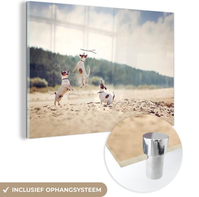 MuchoWow® Glasschilderij 180x120 cm - Schilderij acrylglas - Hond - Tak - Zand - Foto op glas - Schilderijen