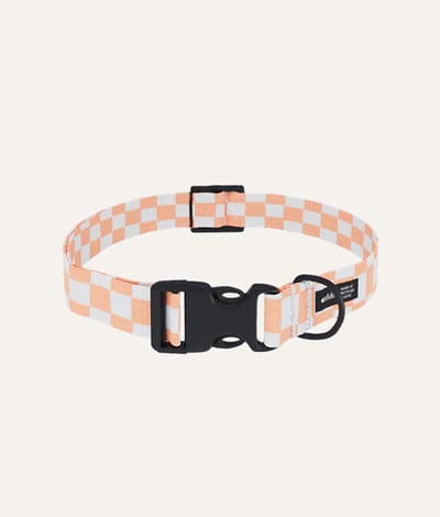 Comfortabele hondenkraag – Oranje Perzik ontwerp – Verstelbaar & duurzaam – Gerecycled PET – Juno