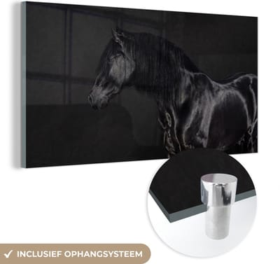 MuchoWow® Glasschilderij 40x20 cm - Schilderij acrylglas - Paard - Zwart - Portret - Foto op glas - Schilderijen