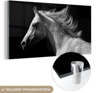 MuchoWow® Glasschilderij 40x20 cm - Schilderij acrylglas - Paarden - Dieren - Portret - Foto op glas - Schilderijen